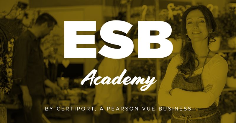 ESB Academy