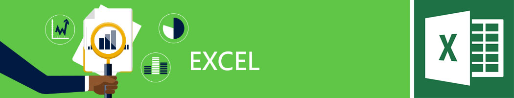 Microsoft Excel Specialist